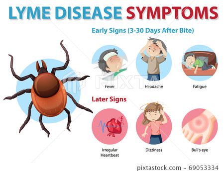 Lyme disease symptoms information infographic Lyme disease symptoms information infographic 69053334
