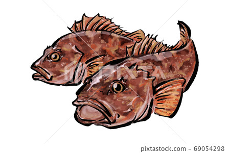 Hand drawn illustration of scorpionfish 69054298