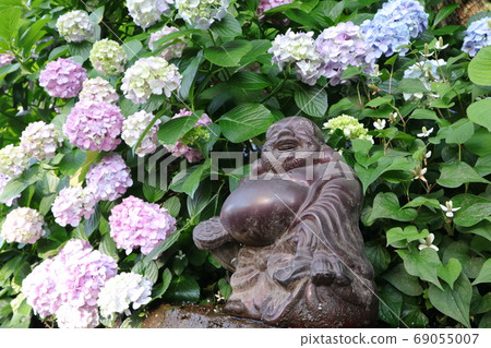 Hydrangea that surrounds Daikokuten 69055007