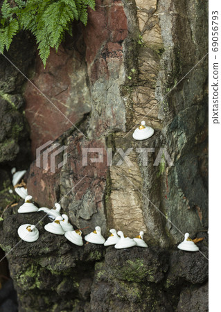 Saitama Kawagoe Kumano Shrine precincts 69056793