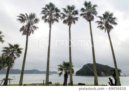 宮崎縣日南市坂松海岸和一個孤島 69056838