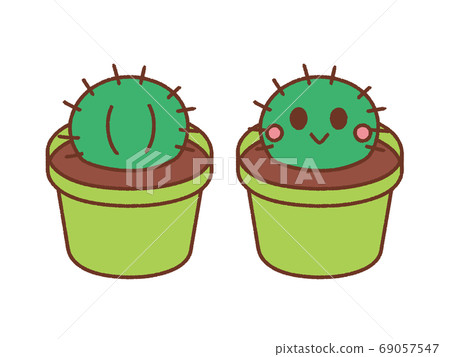 Cactus_4 Cactus_4 69057547