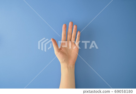 手 69058180