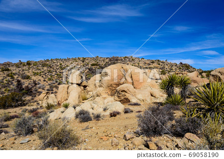 Landscape of Joshua Tree National Park, USA 69058190