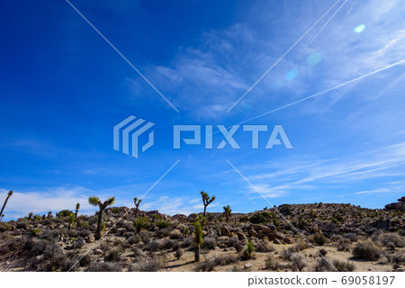 Landscape of Joshua Tree National Park, USA 69058197