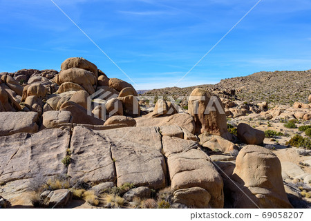 美國約書亞樹國家公園景觀 美國約書亞樹國家公園景觀 69058207