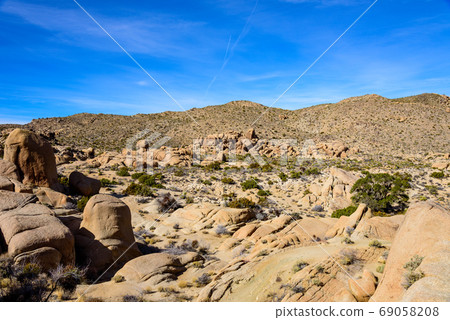 美國約書亞樹國家公園景觀 69058208