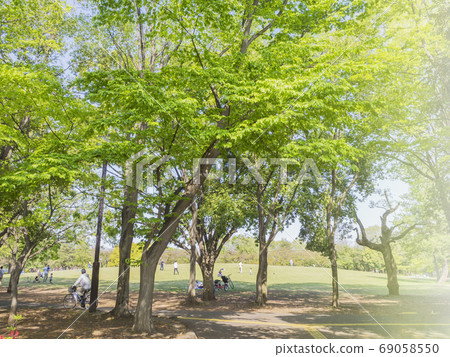 新鮮的綠色森林浴生態公園 新鮮的綠色森林浴生態公園 69058550