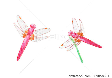 紅蜻蜓 69058691
