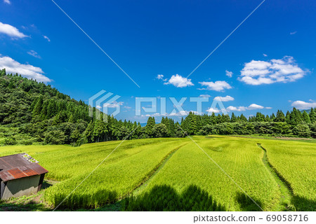 兵庫縣香美町聯雲山梯田的秋天形象 69058716