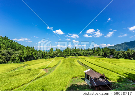 兵庫縣香美町聯雲山梯田的秋天形象 69058717