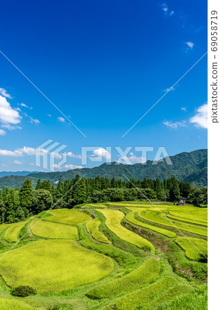 Autumn image of terraced rice fields of Uneyama, Kami-cho, Hyogo Prefecture Autumn image of terraced rice fields of Uneyama, Kami-cho, Hyogo Prefecture 69058719