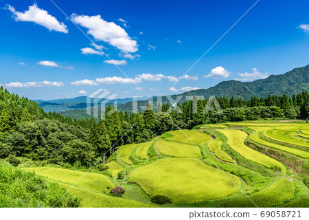 Autumn image of terraced rice fields of Uneyama, Kami-cho, Hyogo Prefecture Autumn image of terraced rice fields of Uneyama, Kami-cho, Hyogo Prefecture 69058721