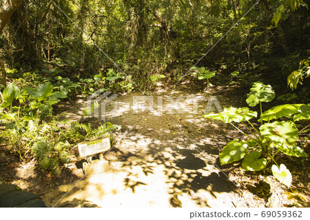 Funami Mitake Bomb Pond 69059362