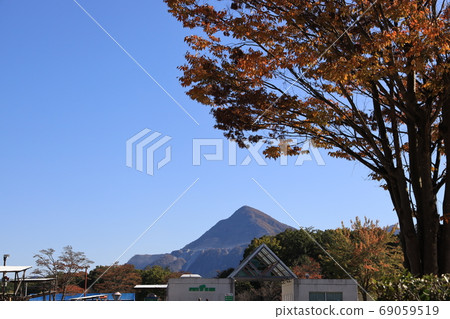 從秩父繆斯公園眺望的秋天步子山 從秩父繆斯公園眺望的秋天步子山 69059519