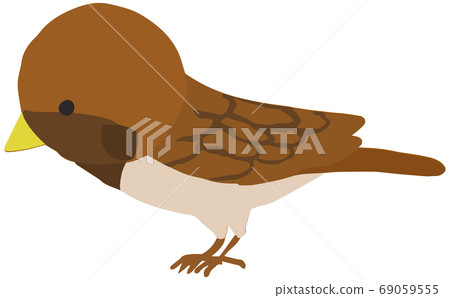 Illustration of a cute sparrow seen from the side 69059555