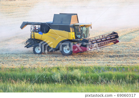 The harvester is harvesting wheat in the field. grain preparatio 69060317