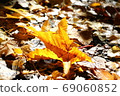 Feelings of autumn 69060852