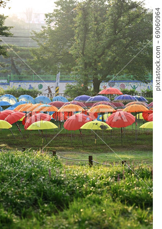 早上在城堡外的森林裡!前門洞 早上在城堡外的森林裡!前門洞 69060964