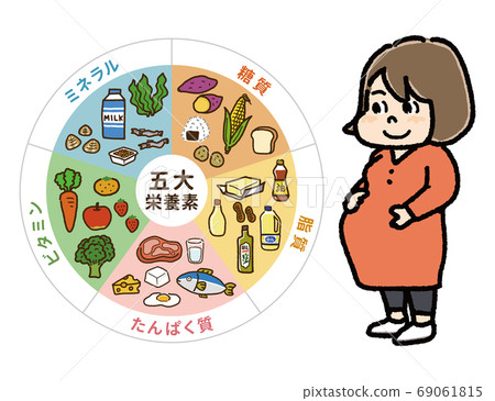 孕婦B的五種主要營養素表和插圖 孕婦B的五種主要營養素表和插圖 69061815