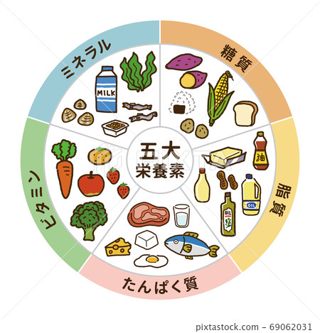 五種主要營養物質（圓形）的圖示A 69062031