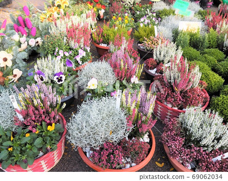 Florist store's shop Florist store's shop 69062034
