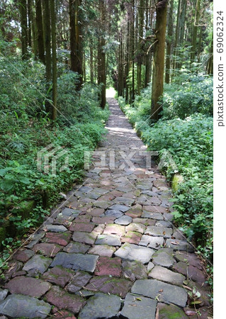 雪梨夏木夏目索瑪路 69062324