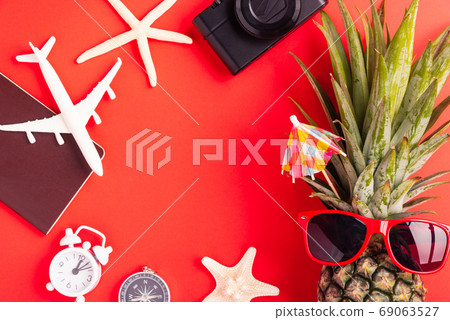 pineapple wear red sunglasses, model plane, starfish, passport a 69063527