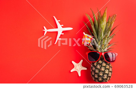 pineapple wear red sunglasses with model plane and starfish pineapple wear red sunglasses with model plane and starfish 69063528
