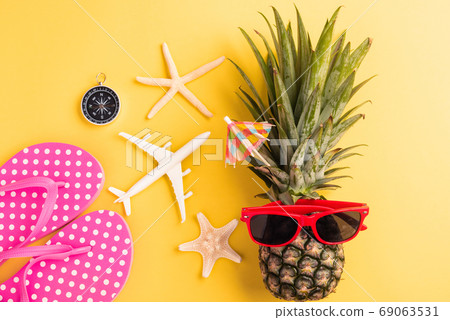 fresh pineapple in sunglasses with model plane and starfish 69063531