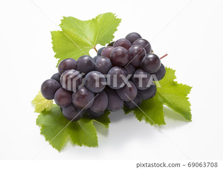 巨大的高峰 69063708