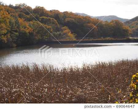 Umagaike在Harima Technoline和佐藤山的秋葉旁邊 69064647