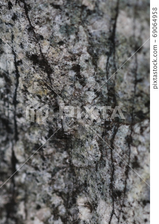 Vertical stripe pattern of granite Vertical stripe pattern of granite 69064958