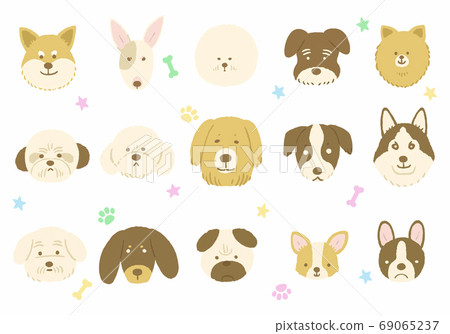 狗例證集合 69065237