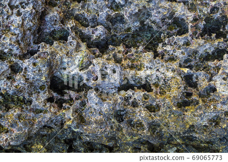 Pattern of Corals fragment on the beach . Abstract texture background. Pattern of Corals fragment on the beach . Abstract texture background. 69065773