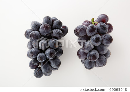 葡萄葡萄新先鋒 69065948