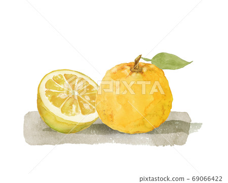 柚子水彩 69066422
