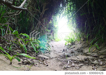 希望光明 69066426