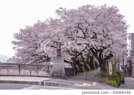 Sakuraka, Japan 69066546