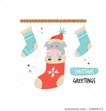 Funny cow in a hat sitting in a holiday sock. Merry Christmas postcard Funny cow in a hat sitting in a holiday sock. Merry Christmas postcard 69066572