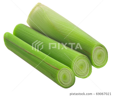 Stack of cut Lemongrass stem (Cymbopogon citratus) isolated Stack of cut Lemongrass stem (Cymbopogon citratus) isolated 69067021