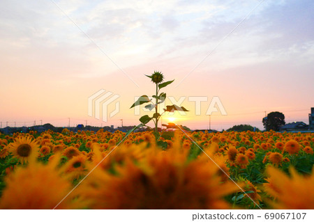 無與倫比的力量 69067107