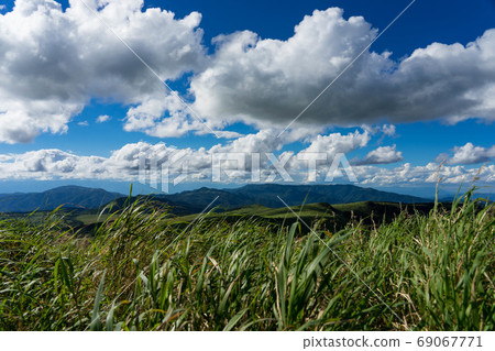 A meadow on a sunny day A meadow on a sunny day 69067771