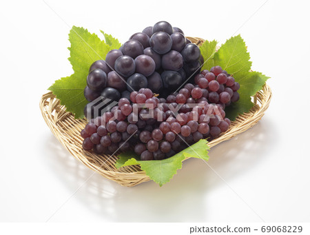 Grape Kyoho and Delaware 69068229