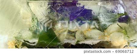 Frozen   flower of         jessamine and campanula 69068712