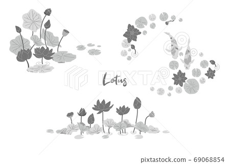 蓮花插圖集 69068854