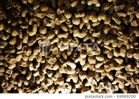 Human bones and skulls as pirate texture Human bones and skulls as pirate texture 69069200