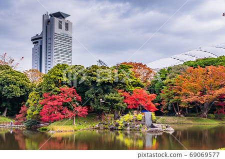 (Tokyo) Koishikawa Korakuen Autumn leaves (Tokyo) Koishikawa Korakuen Autumn leaves 69069577