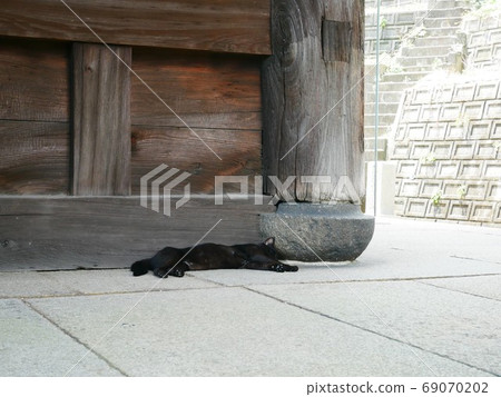 A black cat sleeps under the triple tower of Onomichi A black cat sleeps under the triple tower of Onomichi 69070202