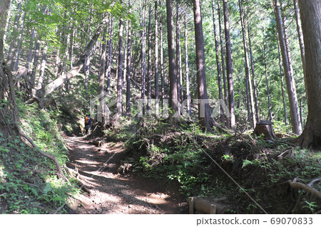 山徑大倉嶺 山徑大倉嶺 69070833